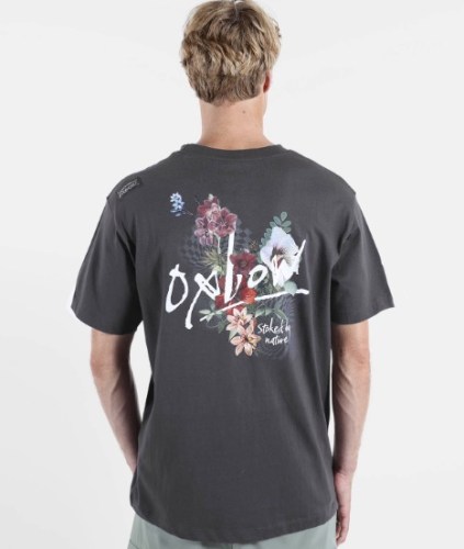 Bildschirmfoto 2026-03-16 um 13.49.46